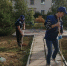 В городах и сёлах: субботники в поддержку эко-положений Конституции прошли в Алтайском крае - Газета Сельский вестник
