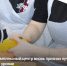 Три социальных учреждения Алтайского края стали призерами всероссийского конкурса профессионального мастерства - Газета Сельский вестник